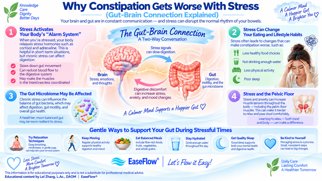Why Constipation Gets Worse With Stress (Gut–Brain Connection Explained)